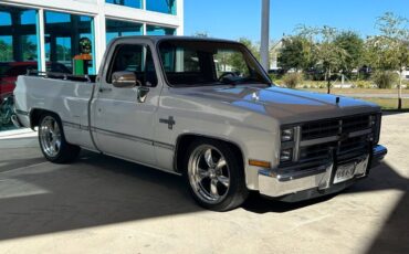 Chevrolet-Other-Pickups-1987-Pickup-Truck-2