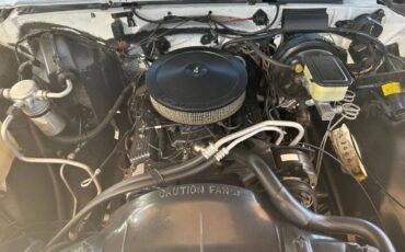 Chevrolet-Other-Pickups-1987-Pickup-Truck-20