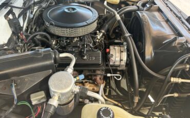 Chevrolet-Other-Pickups-1987-Pickup-Truck-21