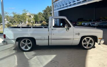 Chevrolet-Other-Pickups-1987-Pickup-Truck-3