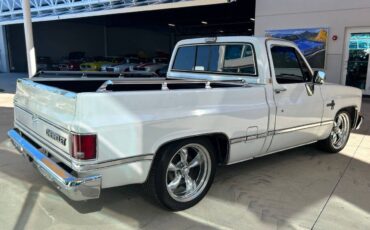 Chevrolet-Other-Pickups-1987-Pickup-Truck-4