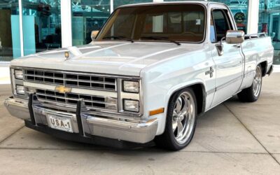Chevrolet Other Pickups 1987 Pickup Truck