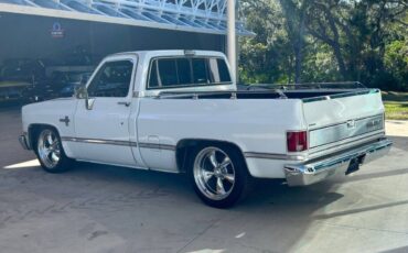 Chevrolet-Other-Pickups-1987-Pickup-Truck-6