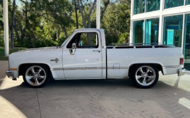 Chevrolet-Other-Pickups-1987-Pickup-Truck-7