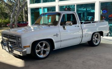 Chevrolet-Other-Pickups-1987-Pickup-Truck-8