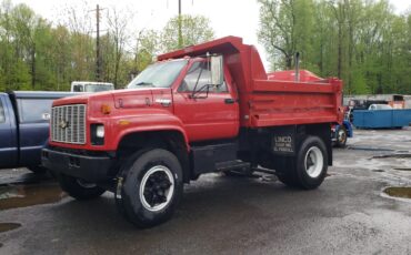 Chevrolet-Other-Pickups-1990-Commercial-Vehicle-1