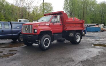 Chevrolet-Other-Pickups-1990-Commercial-Vehicle-3