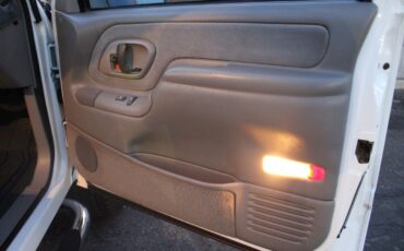 Chevrolet-Other-Pickups-1995-Pickup-Truck-28