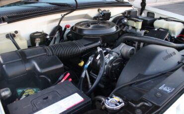 Chevrolet-Other-Pickups-1995-Pickup-Truck-34