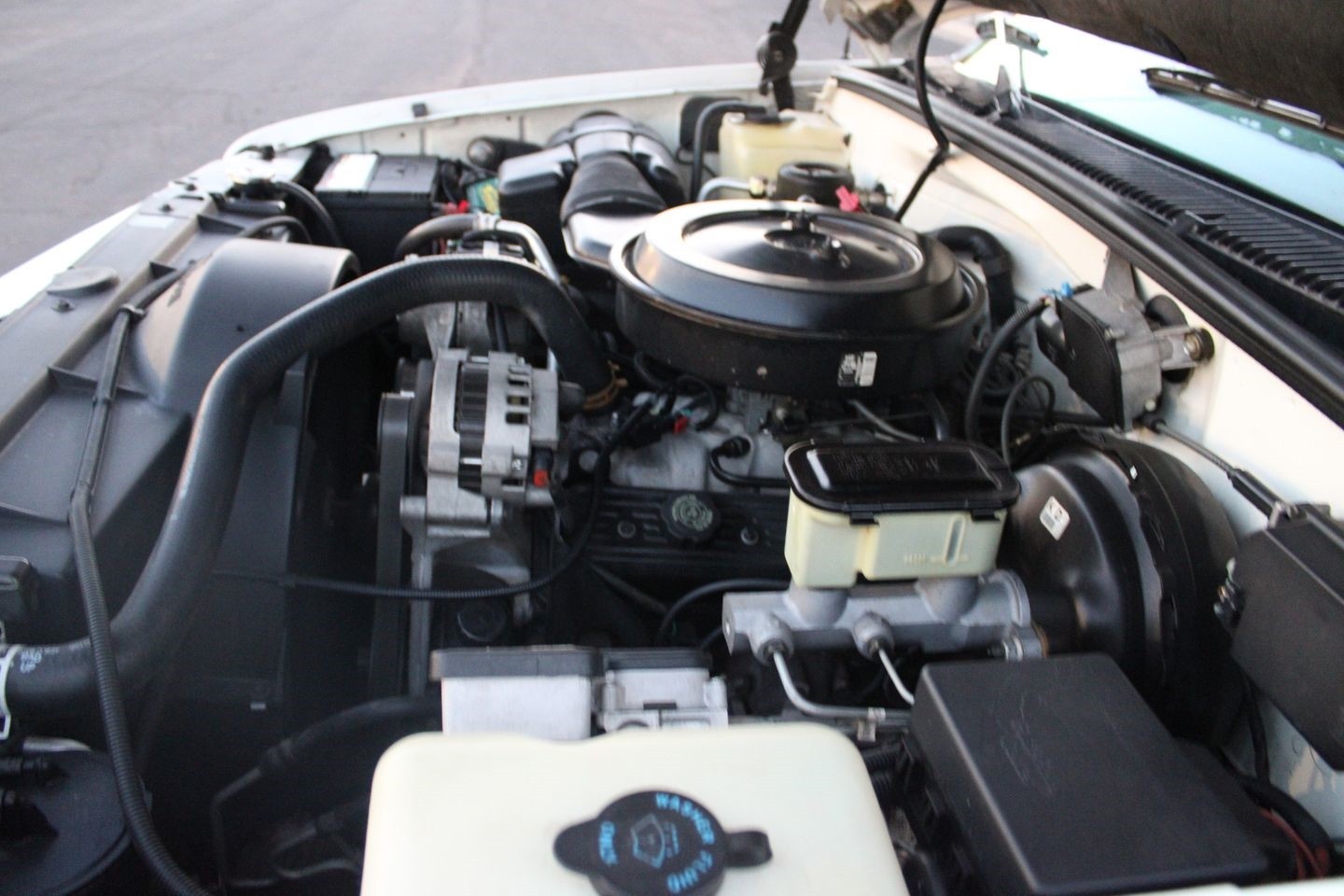 Chevrolet-Other-Pickups-1995-Pickup-Truck-35