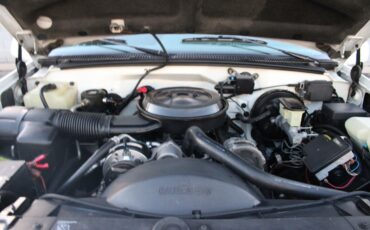 Chevrolet-Other-Pickups-1995-Pickup-Truck-37