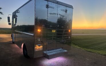 Chevrolet-Panel-Step-Van-1979-1