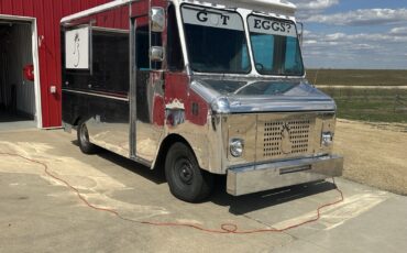 Chevrolet-Panel-Step-Van-1979-11