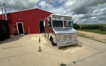 Chevrolet-Panel-Step-Van-1979-4