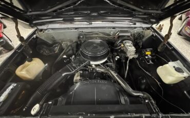 Chevrolet-Pickup-1986-Pickup-12