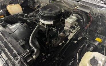 Chevrolet-Pickup-1986-Pickup-13