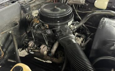 Chevrolet-Pickup-1986-Pickup-14