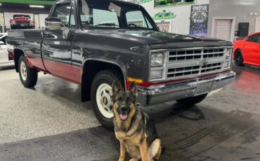 Chevrolet-Pickup-1986-Pickup