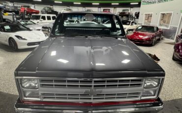 Chevrolet-Pickup-1986-Pickup-9
