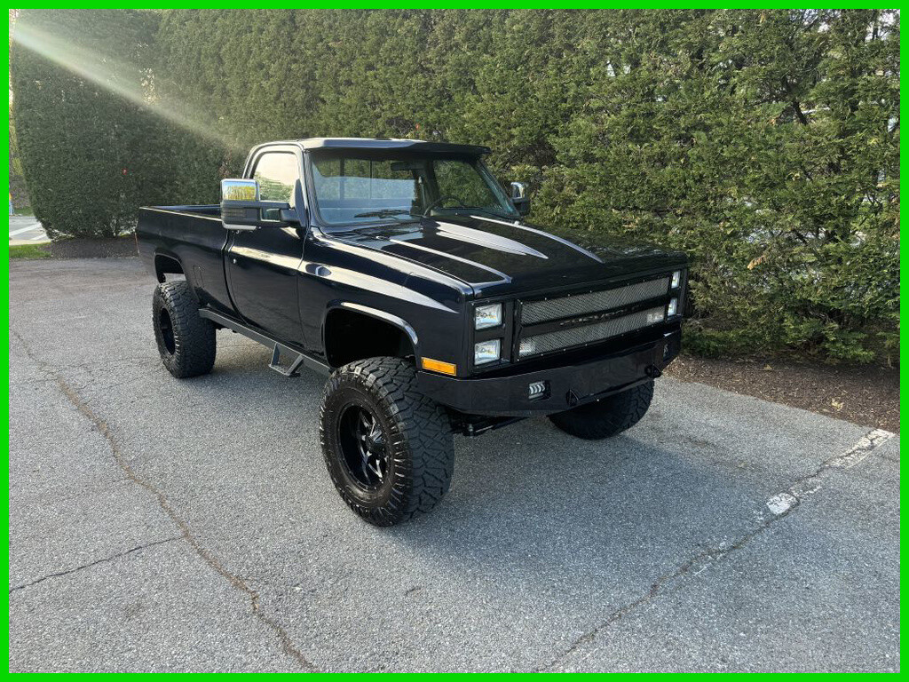 Chevrolet R/V 20 Series 1987 Other