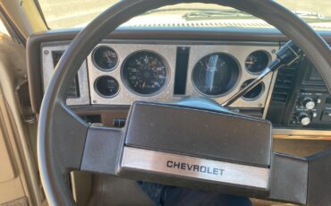 Chevrolet-S-10-1985-3