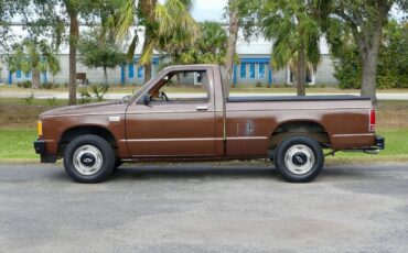Chevrolet-S-10-1988-Pickup-Truck-10