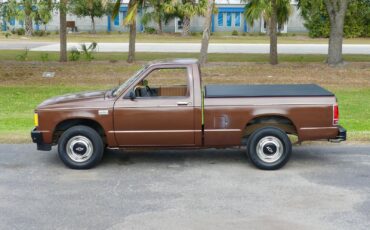 Chevrolet-S-10-1988-Pickup-Truck-11