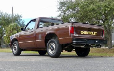 Chevrolet-S-10-1988-Pickup-Truck-15