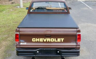 Chevrolet-S-10-1988-Pickup-Truck-17