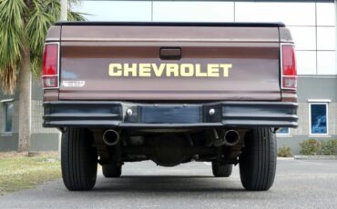 Chevrolet-S-10-1988-Pickup-Truck-18