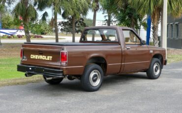 Chevrolet-S-10-1988-Pickup-Truck-19