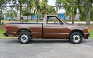 Chevrolet-S-10-1988-Pickup-Truck-2