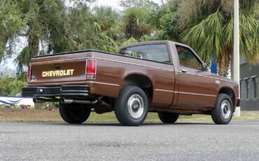 Chevrolet-S-10-1988-Pickup-Truck-21