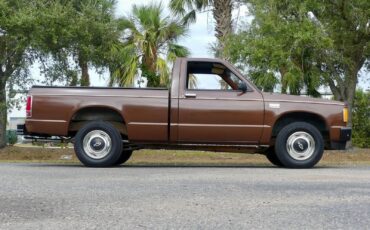 Chevrolet-S-10-1988-Pickup-Truck-23