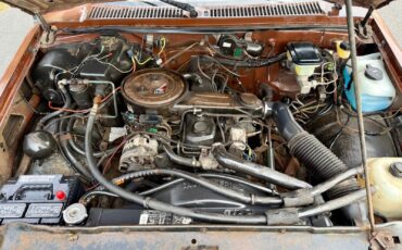 Chevrolet-S-10-1988-Pickup-Truck-5