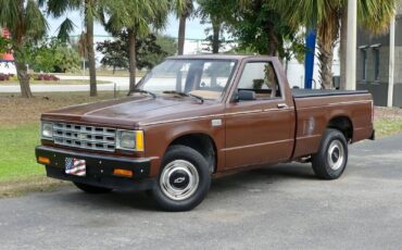 Chevrolet-S-10-1988-Pickup-Truck-7