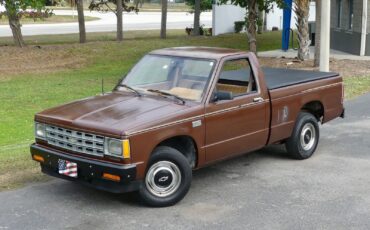 Chevrolet-S-10-1988-Pickup-Truck-8