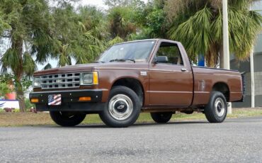 Chevrolet-S-10-1988-Pickup-Truck-9