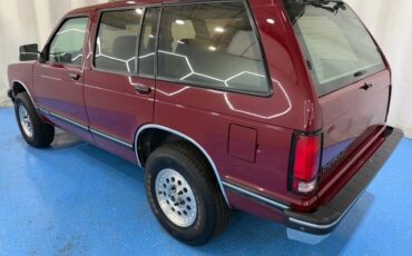 Chevrolet-S-10-1994-SUV-6