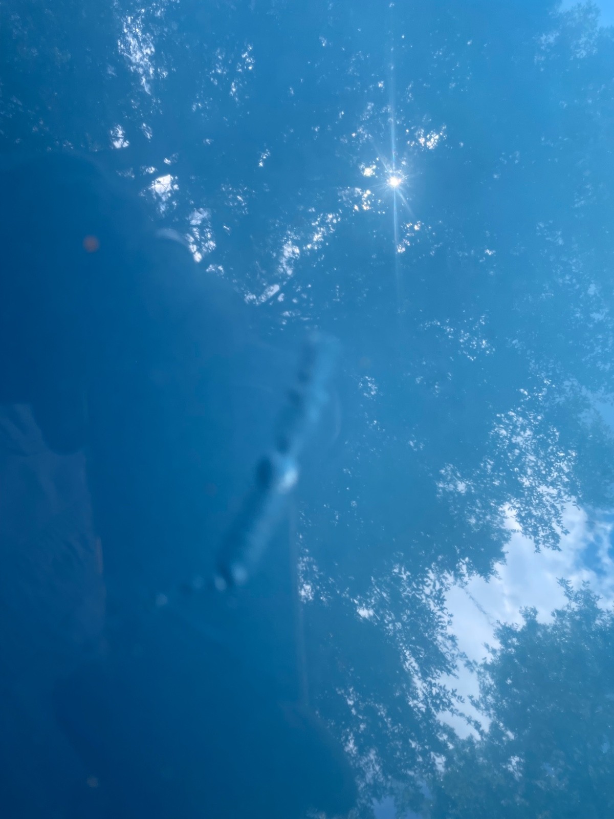 Chevrolet-SS-1966-Coupe-12