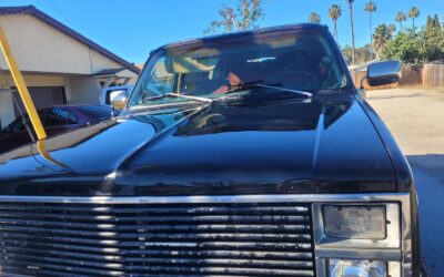 Chevrolet Silverado 1500 1981