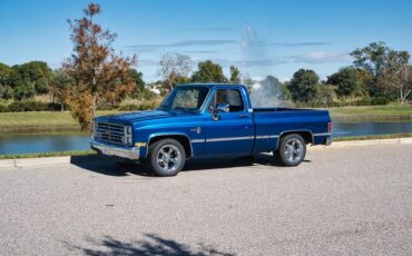 Chevrolet-Silverado-1500-1985-2-Door-18