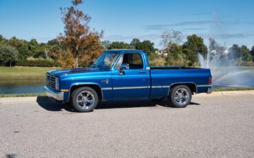 Chevrolet-Silverado-1500-1985-2-Door-19