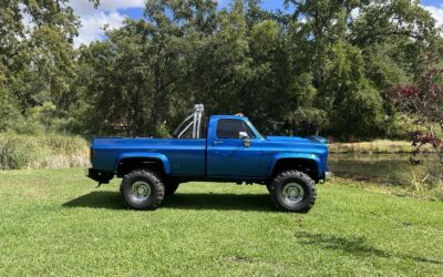 Chevrolet Silverado 2500 1975 Crew Cab Pickup