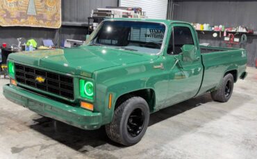 Chevrolet-big-10-1978-green-13