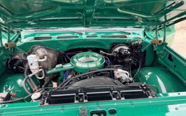 Chevrolet-big-10-1978-green-14