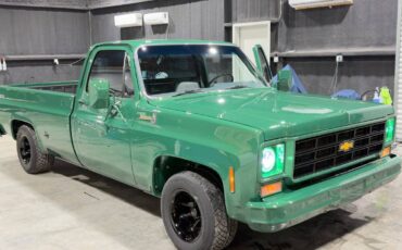 Chevrolet-big-10-1978-green
