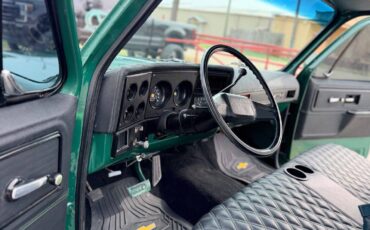 Chevrolet-big-10-1978-green-8