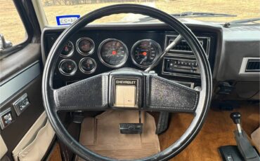 Chevrolet-blazer-12-ton-1987-brown-13