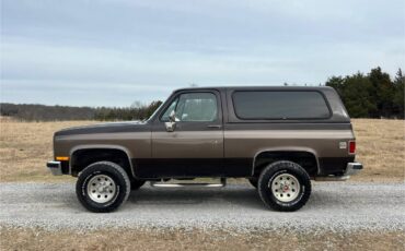 Chevrolet-blazer-12-ton-1987-brown